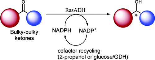 Graphical Abstract