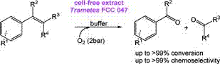 Graphical Abstract