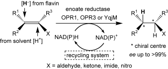 Graphical Abstract