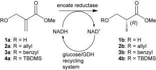 Graphical Abstract