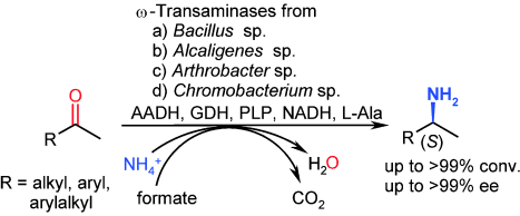 Graphical Abstract