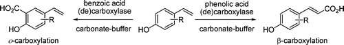 Graphical Abstract