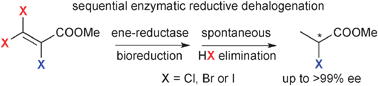 Graphical Abstract