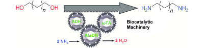 Graphical Abstract