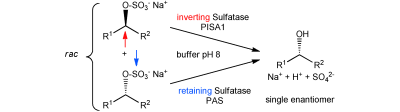 Graphical Abstract