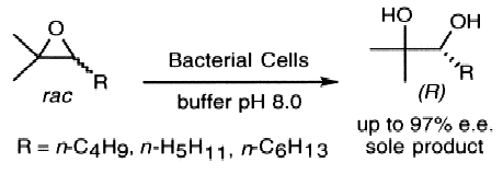 Graphical Abstract