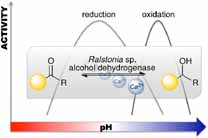 Graphical Abstract