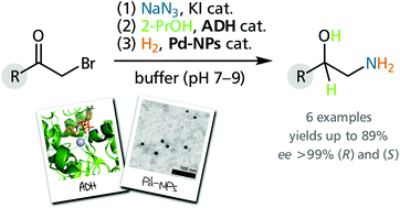 Graphical Abstract