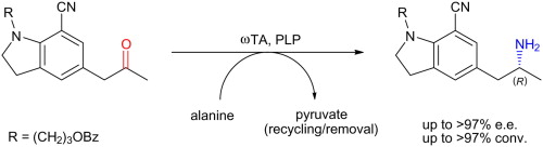 Graphical Abstract