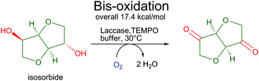 Graphical Abstract