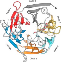 Graphical Abstract