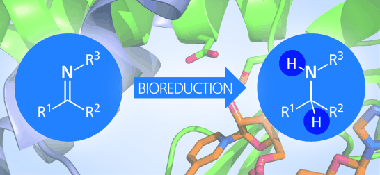 Graphical Abstract