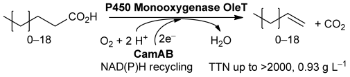 Graphical Abstract