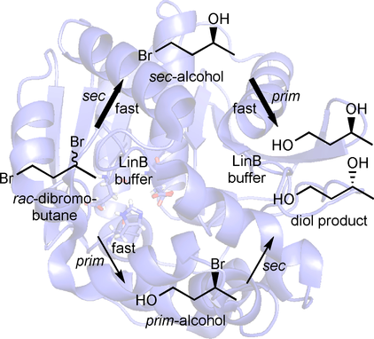 Graphical Abstract