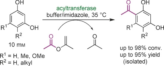 Graphical Abstract