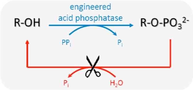 Graphical Abstract