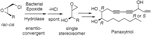 Graphical Abstract