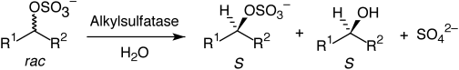 Graphical Abstract