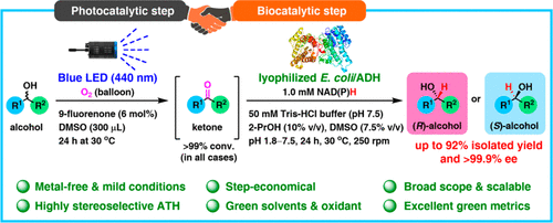 Graphical Abstract