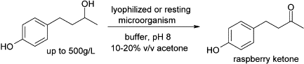 Graphical Abstract