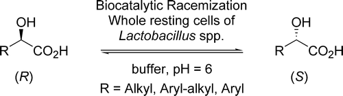 Graphical Abstract