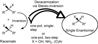 Graphical Abstract