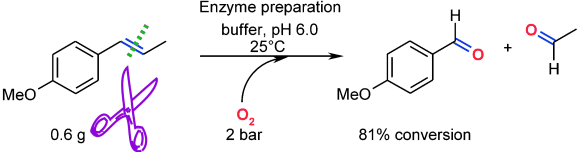 Graphical Abstract