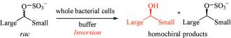 Graphical Abstract