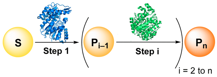 Graphical Abstract